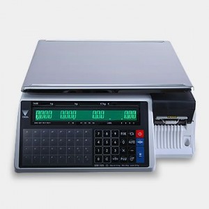 Ηλεκτρονικός ζυγός DIGI SM-100 BCS PLUS με εκτυπωτή